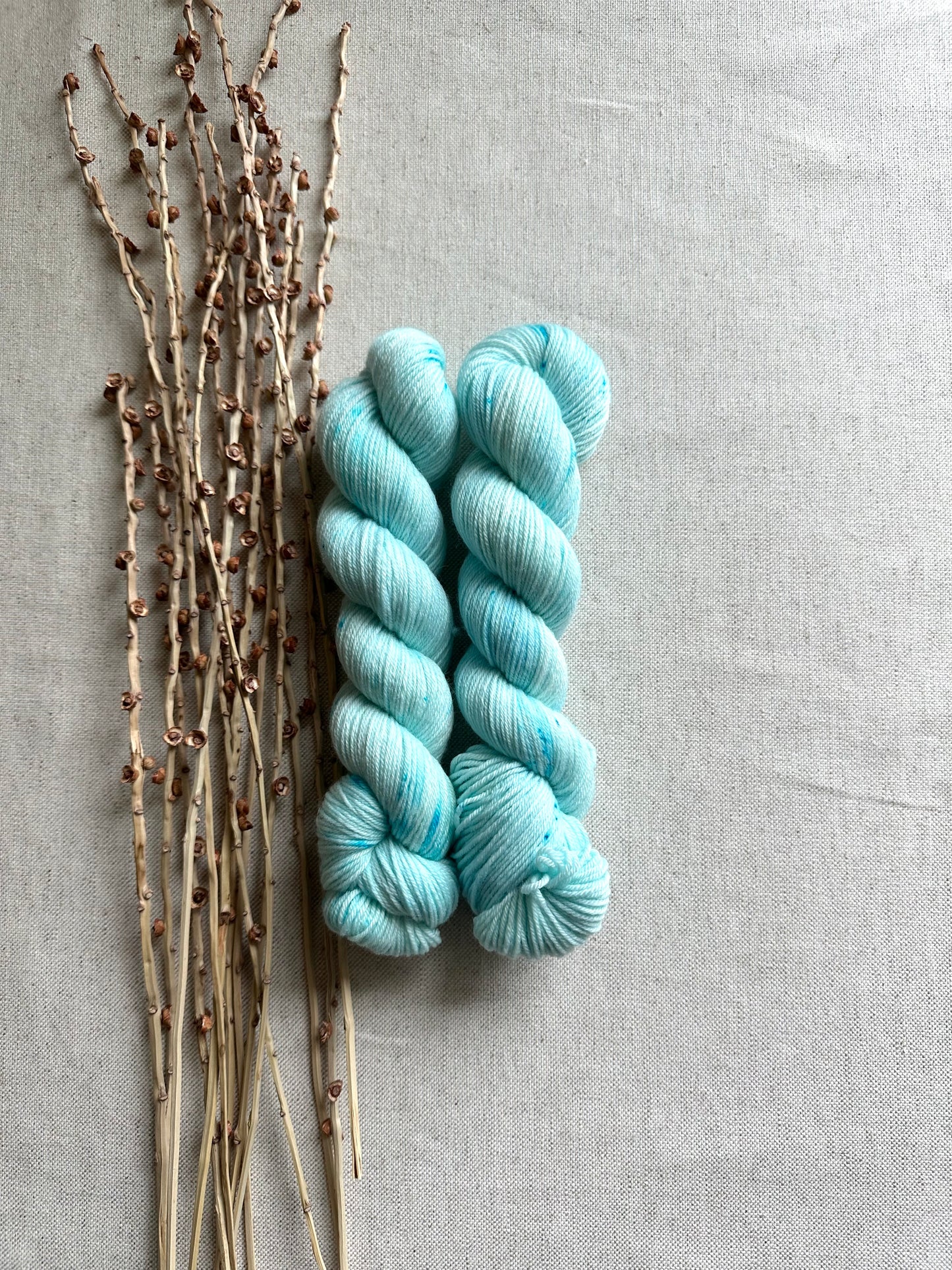 Blueberry Sorbet SW Merino Nylon 50g Skein
