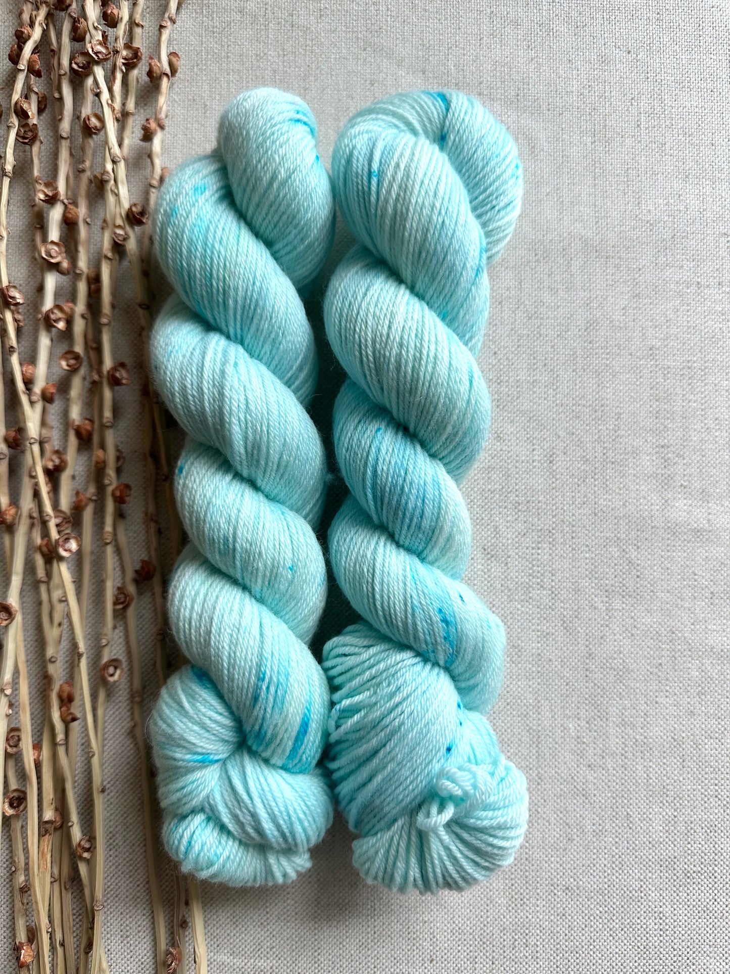 Blueberry Sorbet SW Merino Nylon 50g Skein