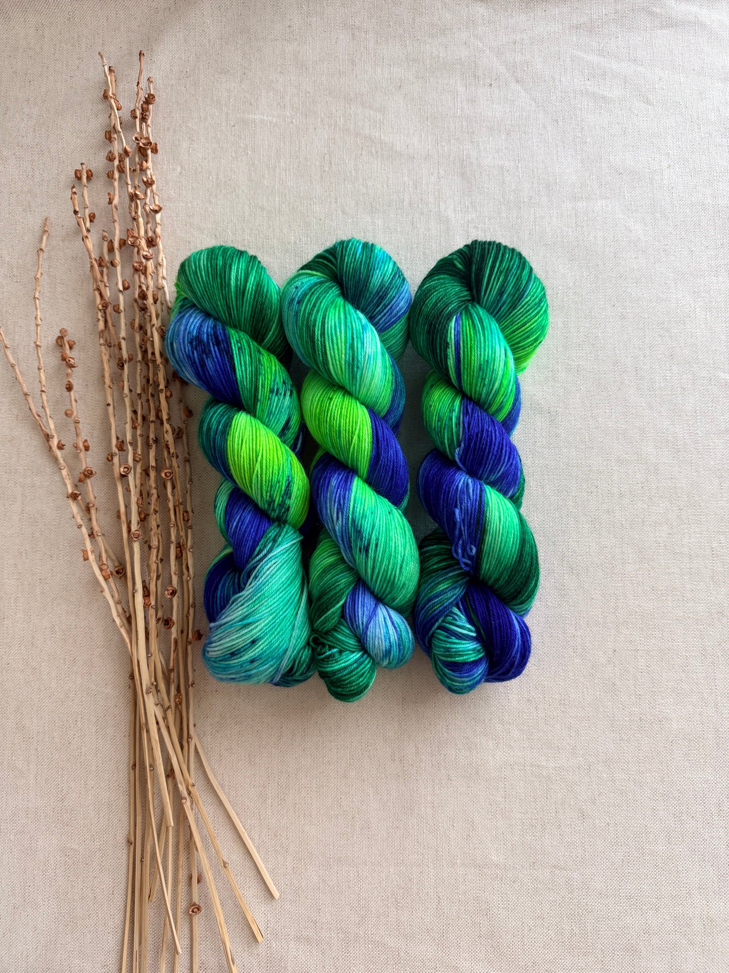 Seattle 2026 A Washington State Colorway - SW Wool Recycled Nylon 100g