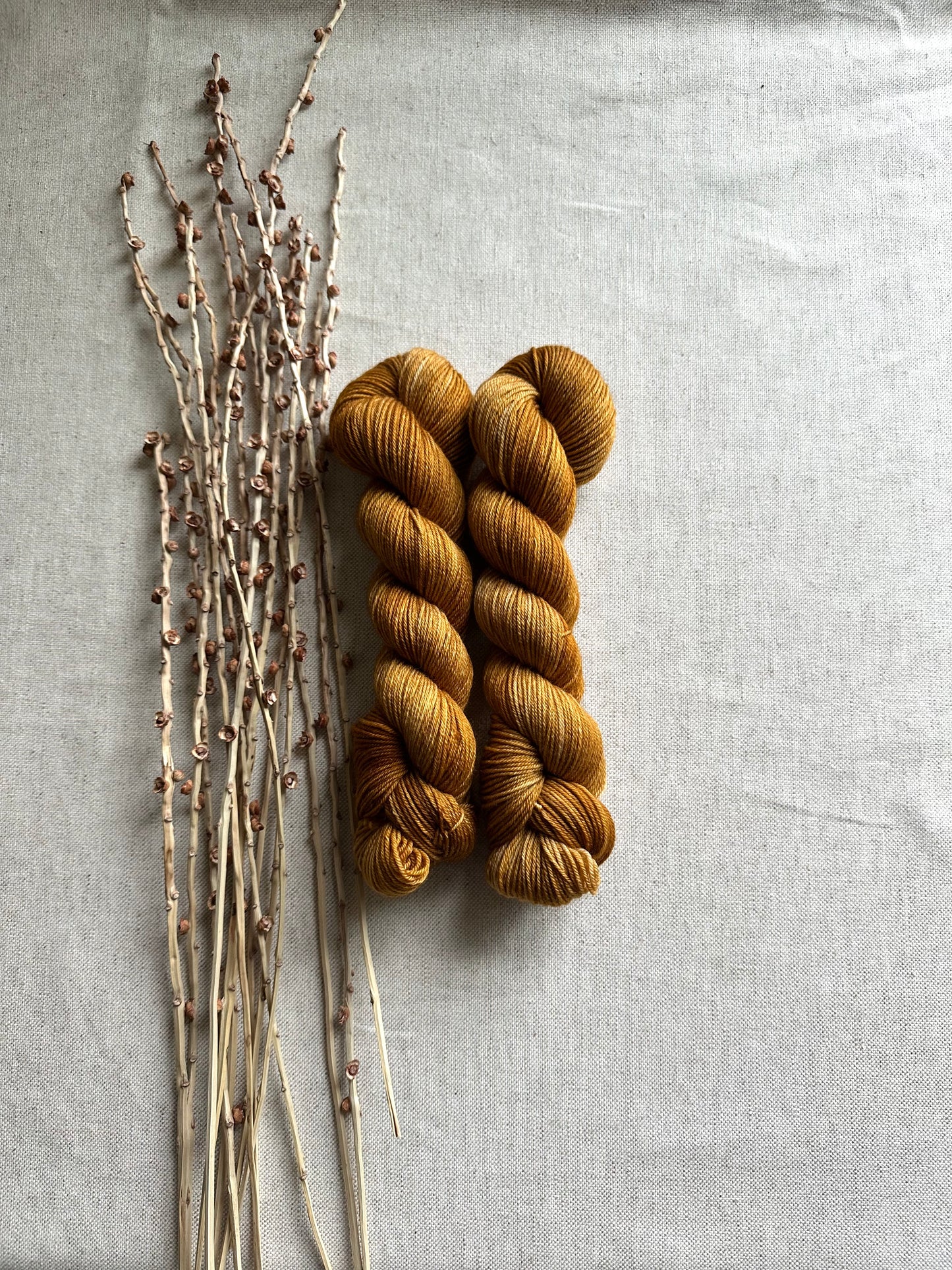 Gilded SW Merino Nylon 50g Skein