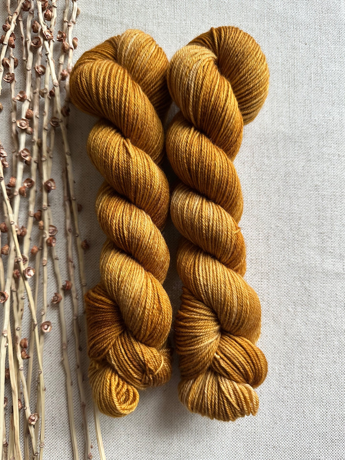 Gilded SW Merino Nylon 50g Skein