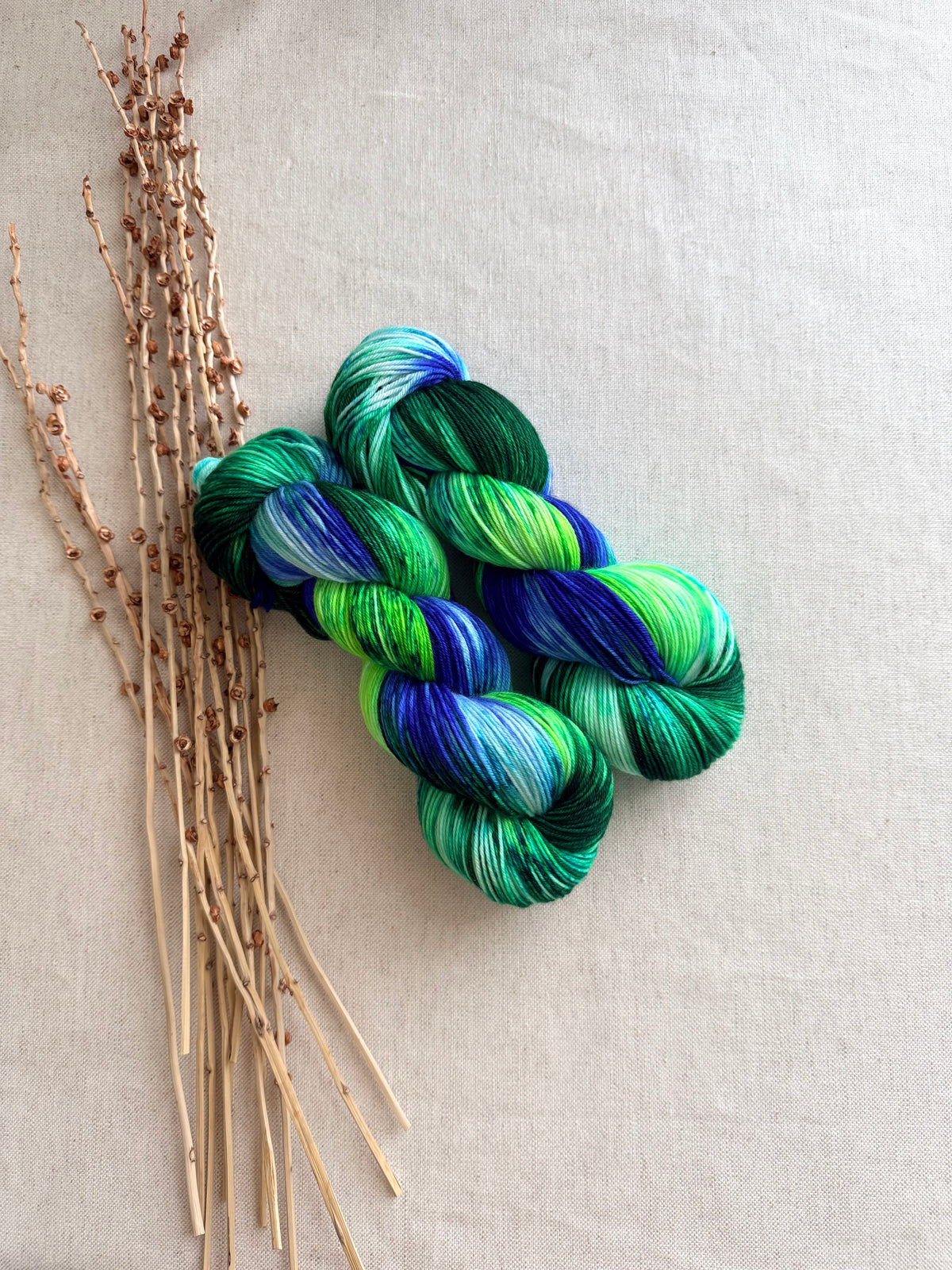 Seattle 2026 - A Washington State Colorway SW Merino Nylon 100g