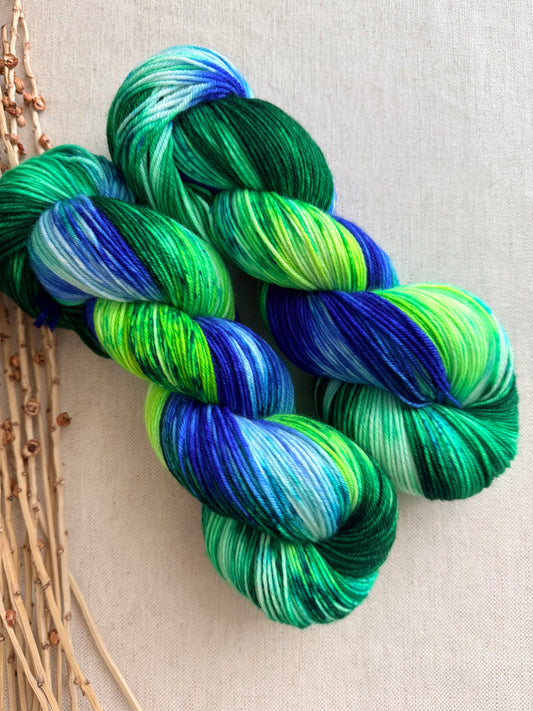 Seattle 2026 - A Washington State Colorway SW Merino Nylon 100g