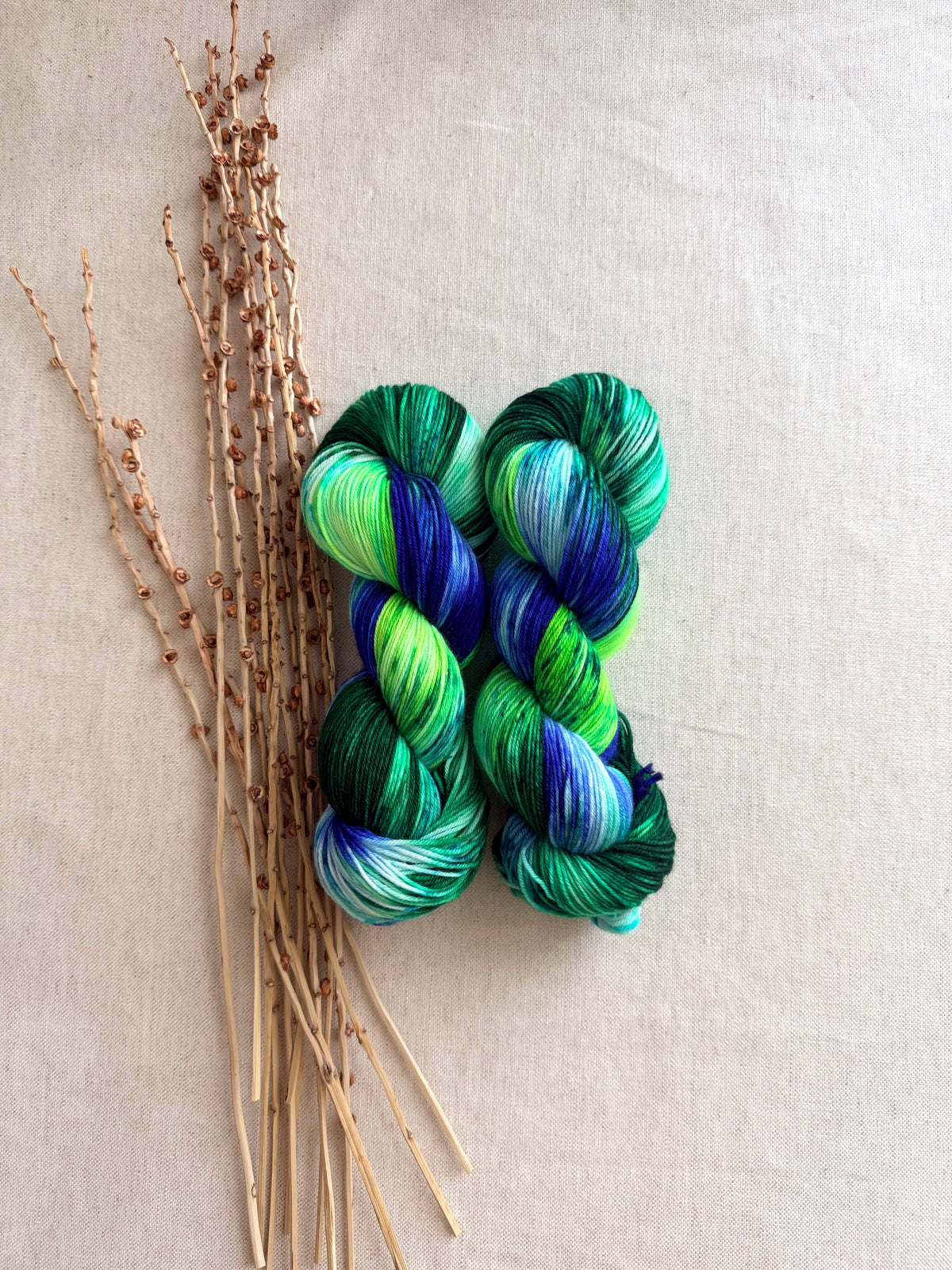 Seattle 2026 - A Washington State Colorway SW Merino Nylon 100g