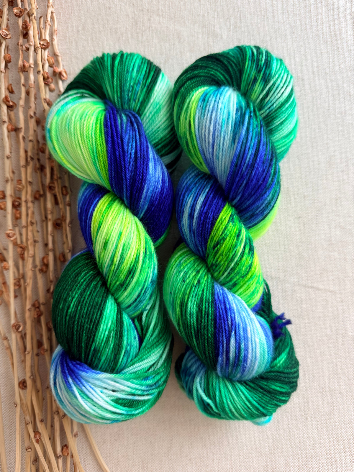 Seattle 2026 - A Washington State Colorway SW Merino Nylon 100g