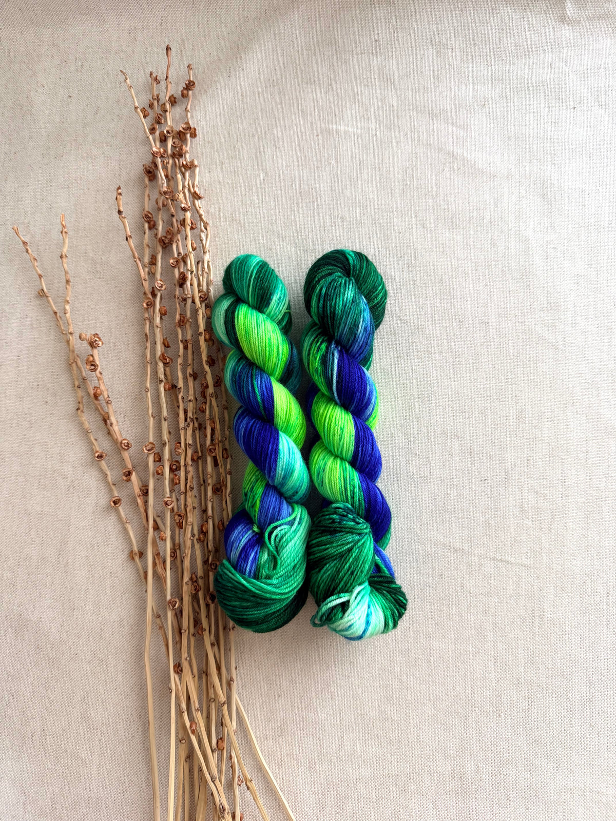 Seattle - A Washington State Colorway 2026 SW Merino Nylon 50g