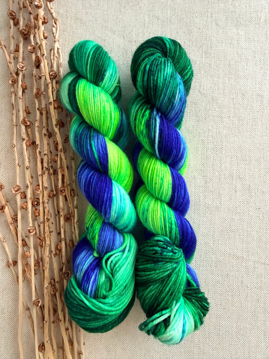 Seattle - A Washington State Colorway 2026 SW Merino Nylon 50g