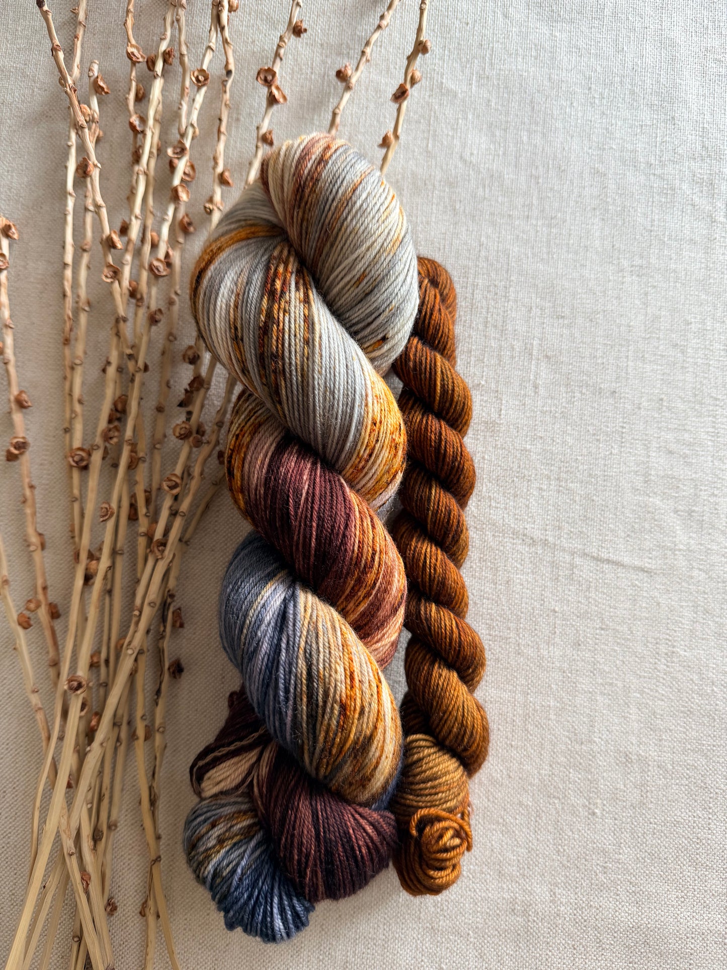 Mt. Adams - A Washington State Colorway Sock Set
