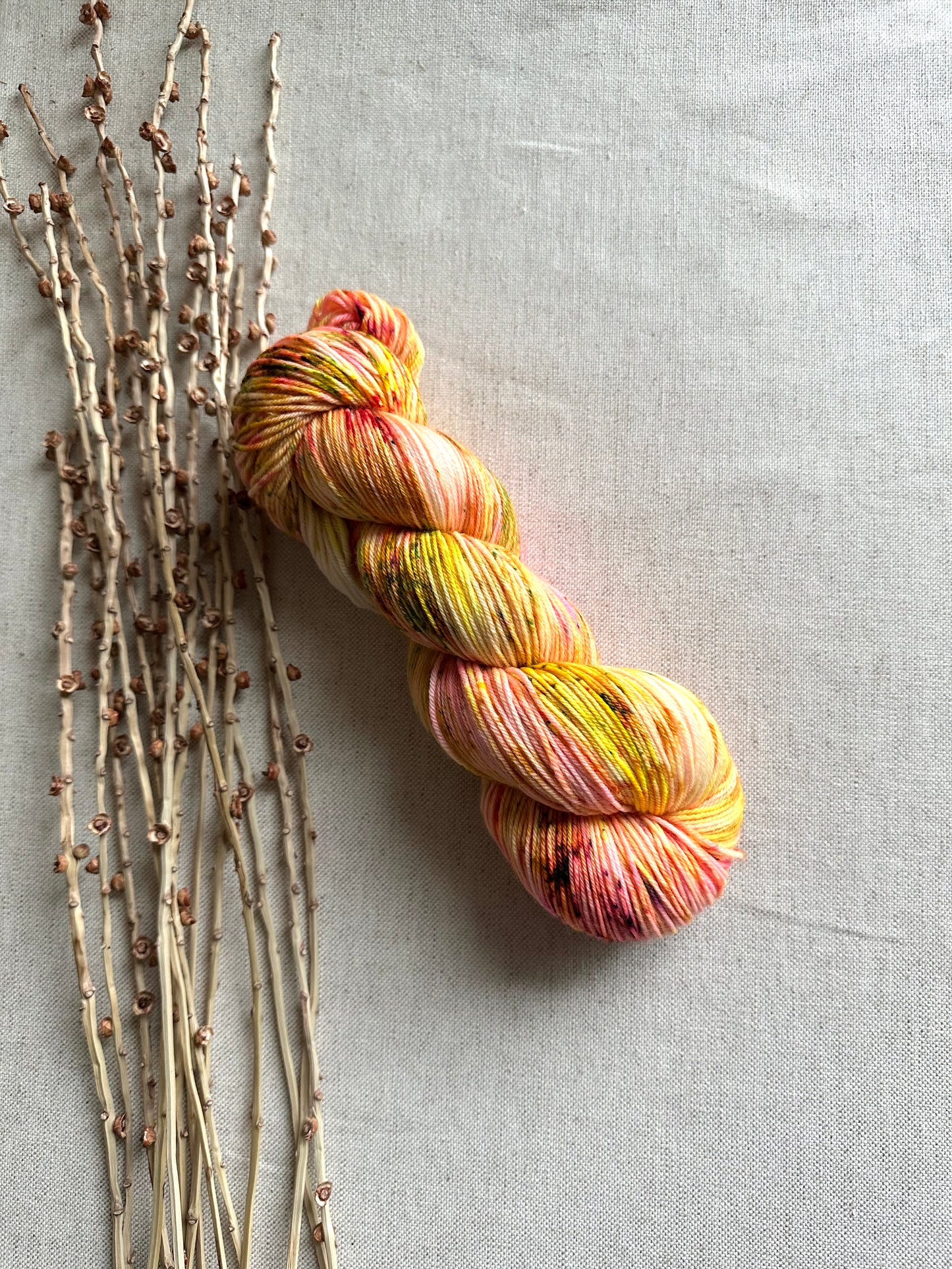 Honey Do - 100g SW Merino Nylon