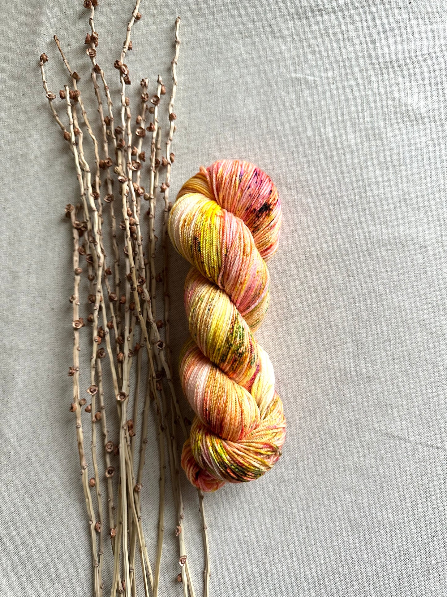 Honey Do - 100g SW Merino Nylon