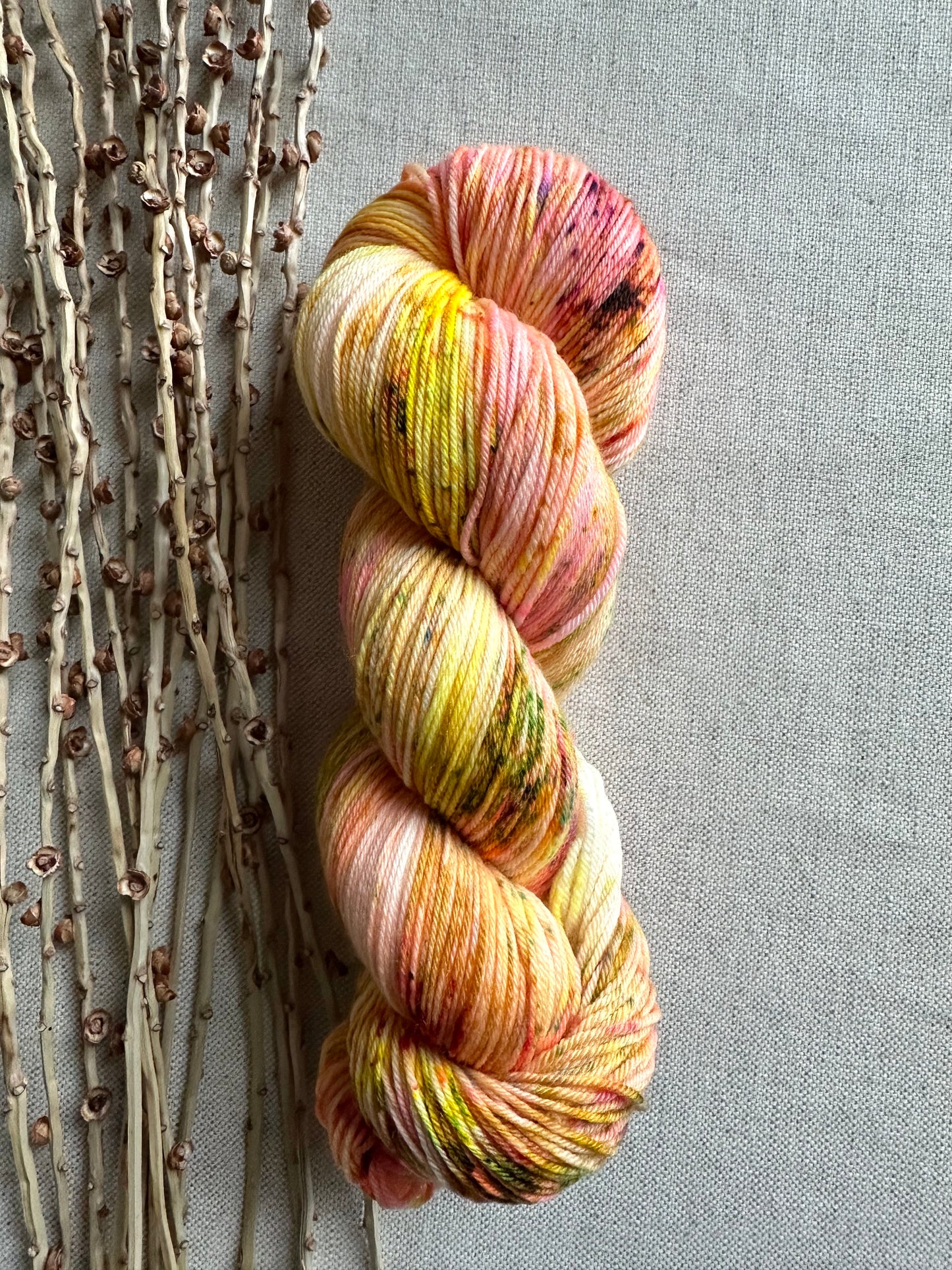 Honey Do - 100g SW Merino Nylon
