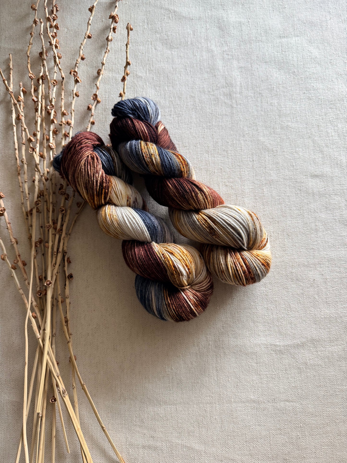 Mt. Adams - A Washington State Colorway SW Merino Nylon 100g