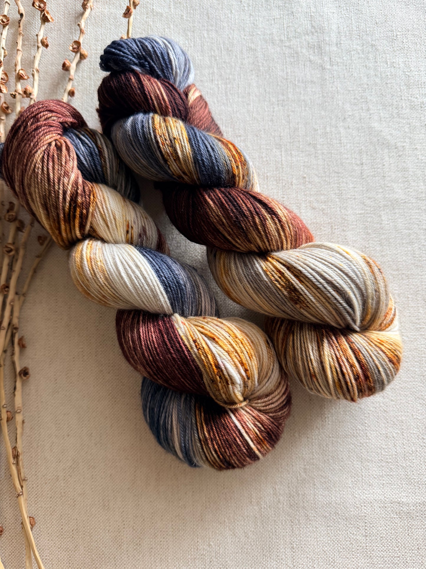 Mt. Adams - A Washington State Colorway SW Merino Nylon 100g
