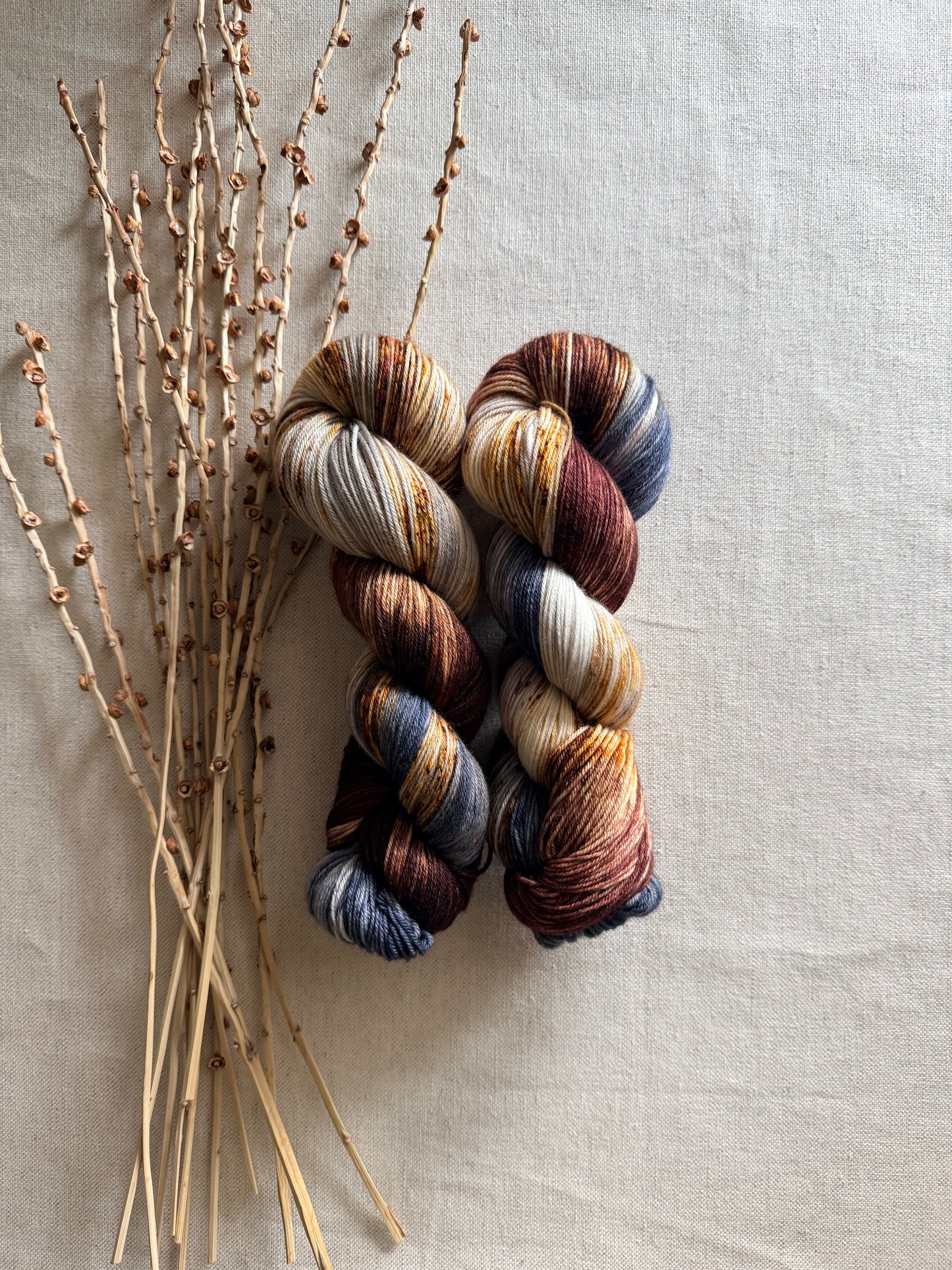 Mt. Adams - A Washington State Colorway SW Merino Nylon 100g