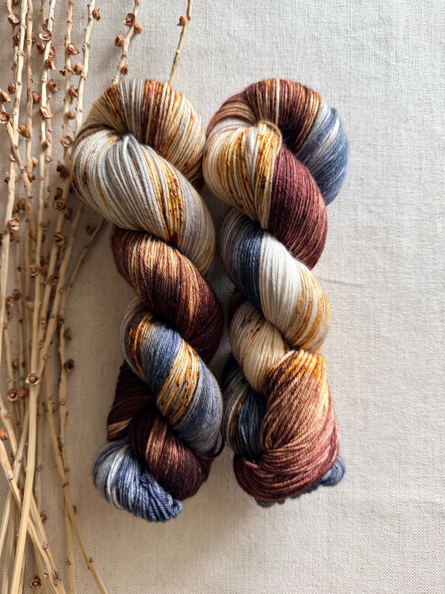 Mt. Adams - A Washington State Colorway SW Merino Nylon 100g