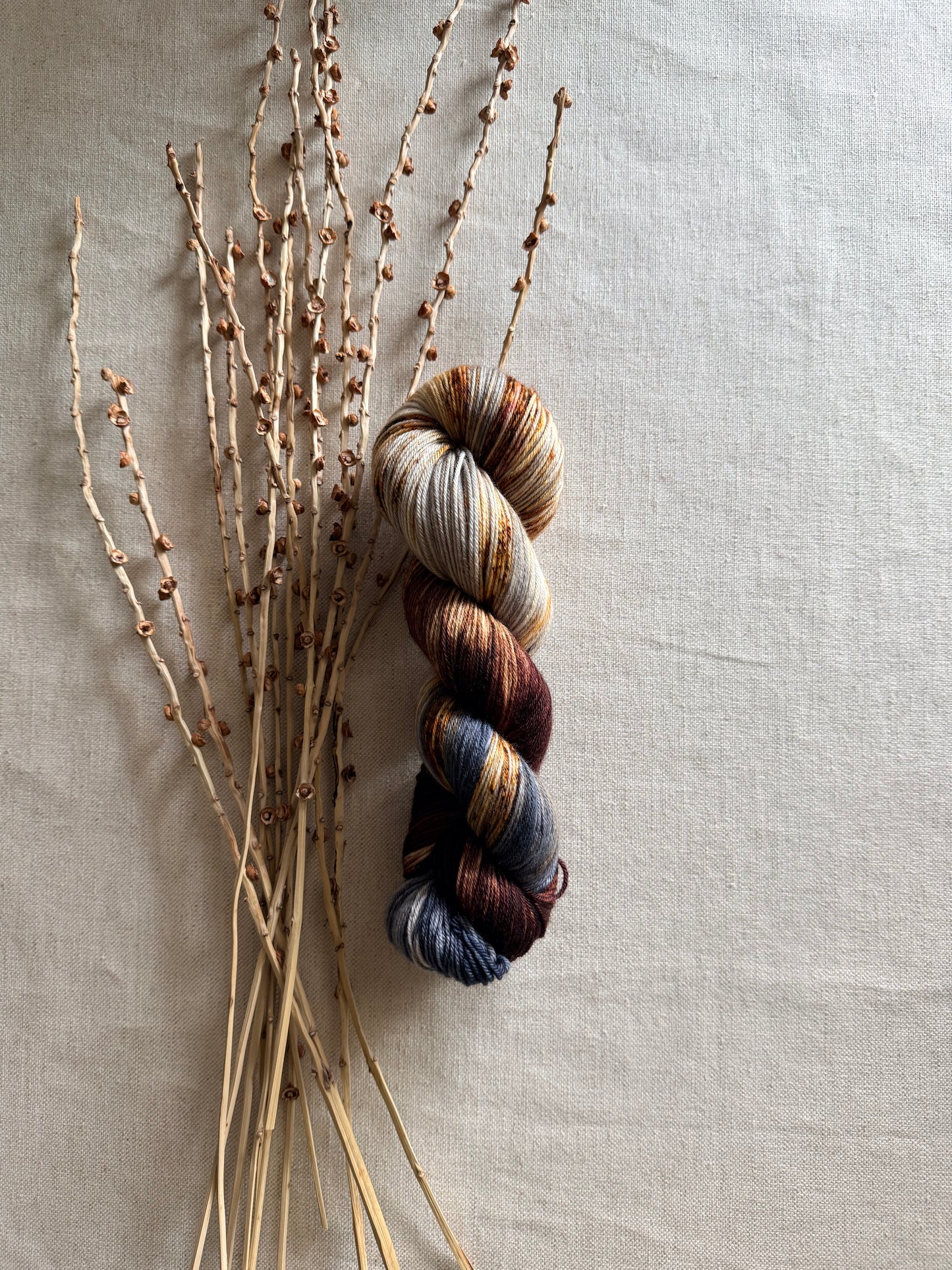 Mt. Adams - A Washington State Colorway SW Merino Nylon 100g
