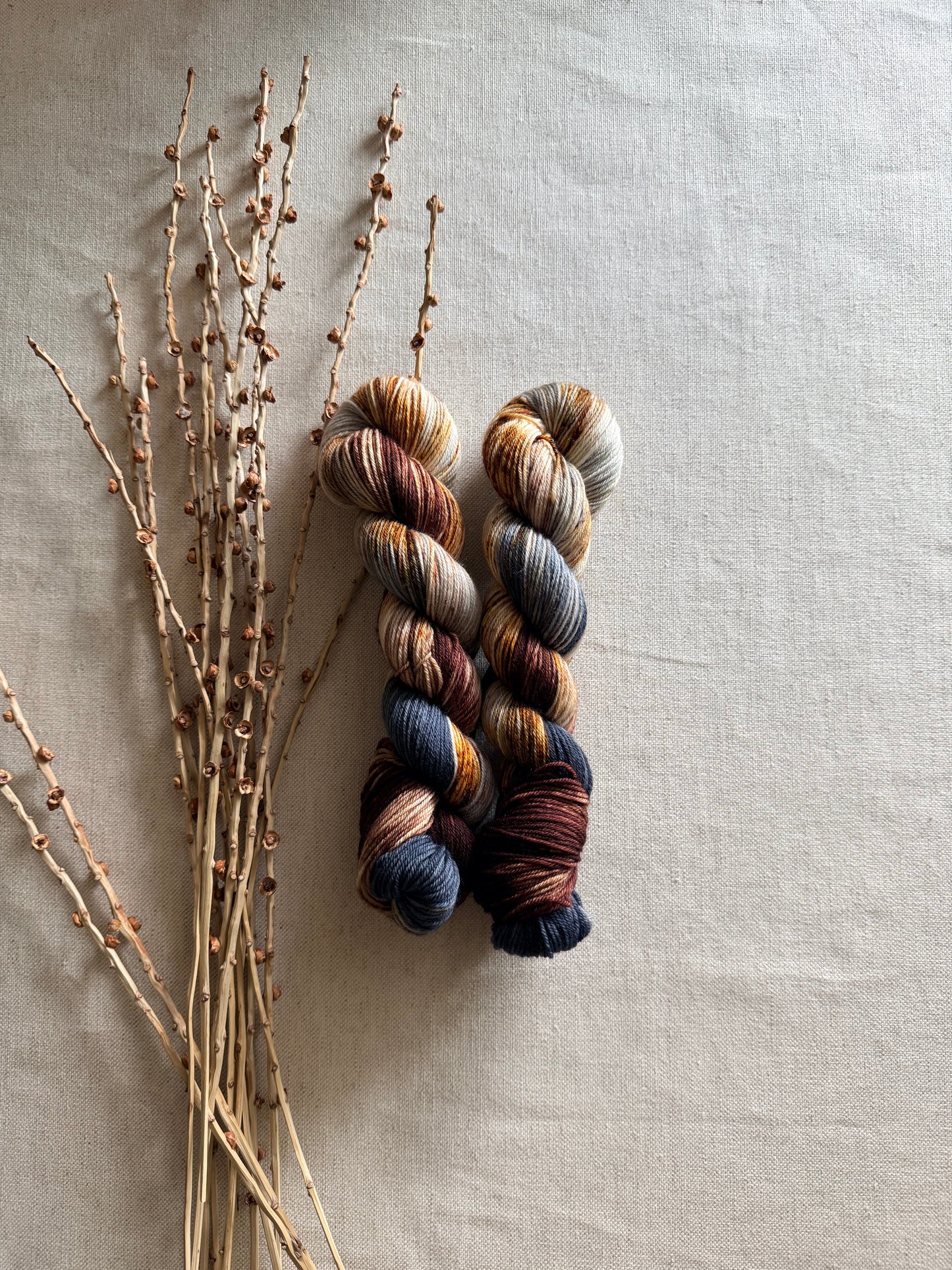Mt. Adams - A Washington State Colorway SW Merino Nylon 50g Skein