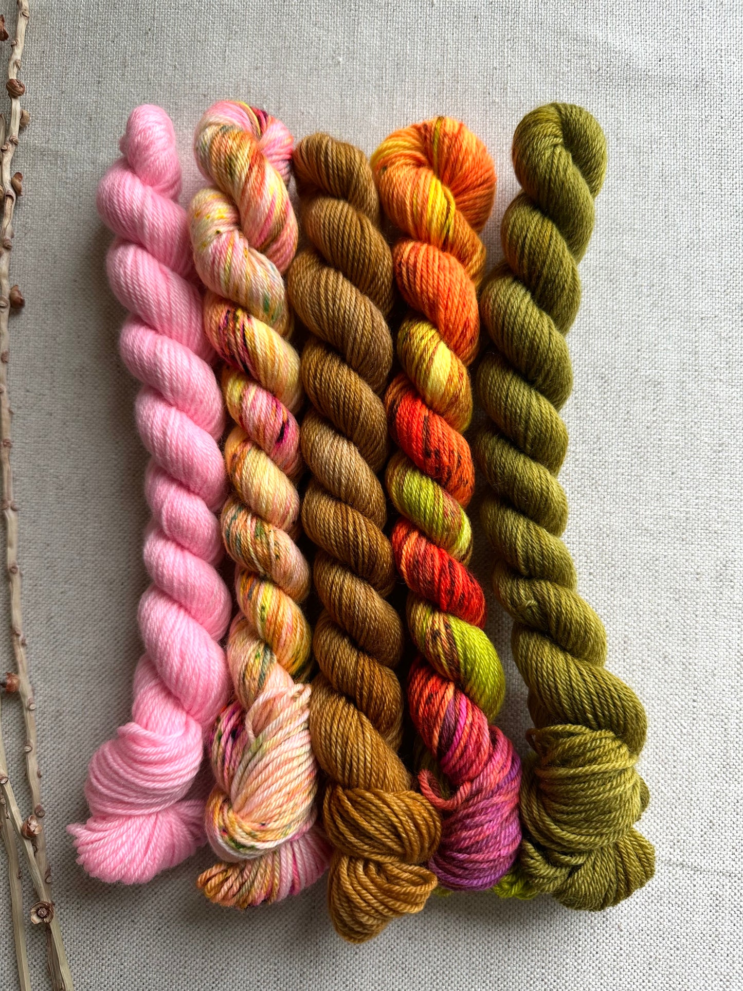 We'll Sing in the Sunshine - SW Merino Nylon Mini Skein Set