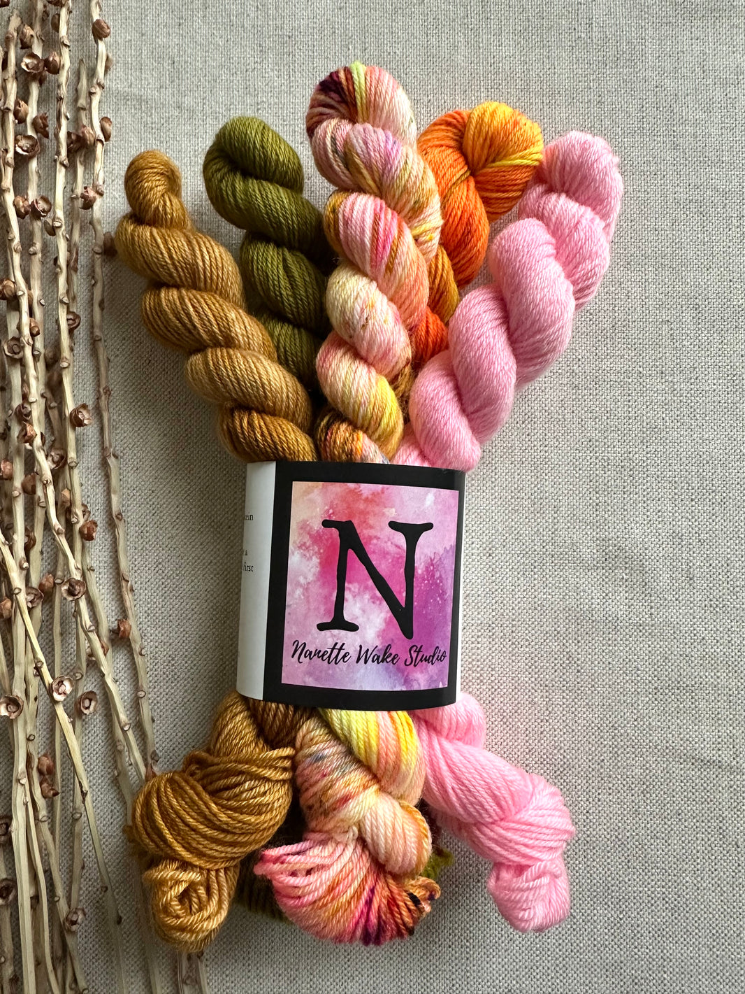We'll Sing in the Sunshine - SW Merino Nylon Mini Skein Set