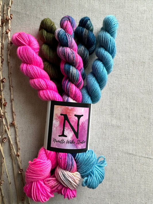 Groovy - SW Merino Nylon Mini Skein Set