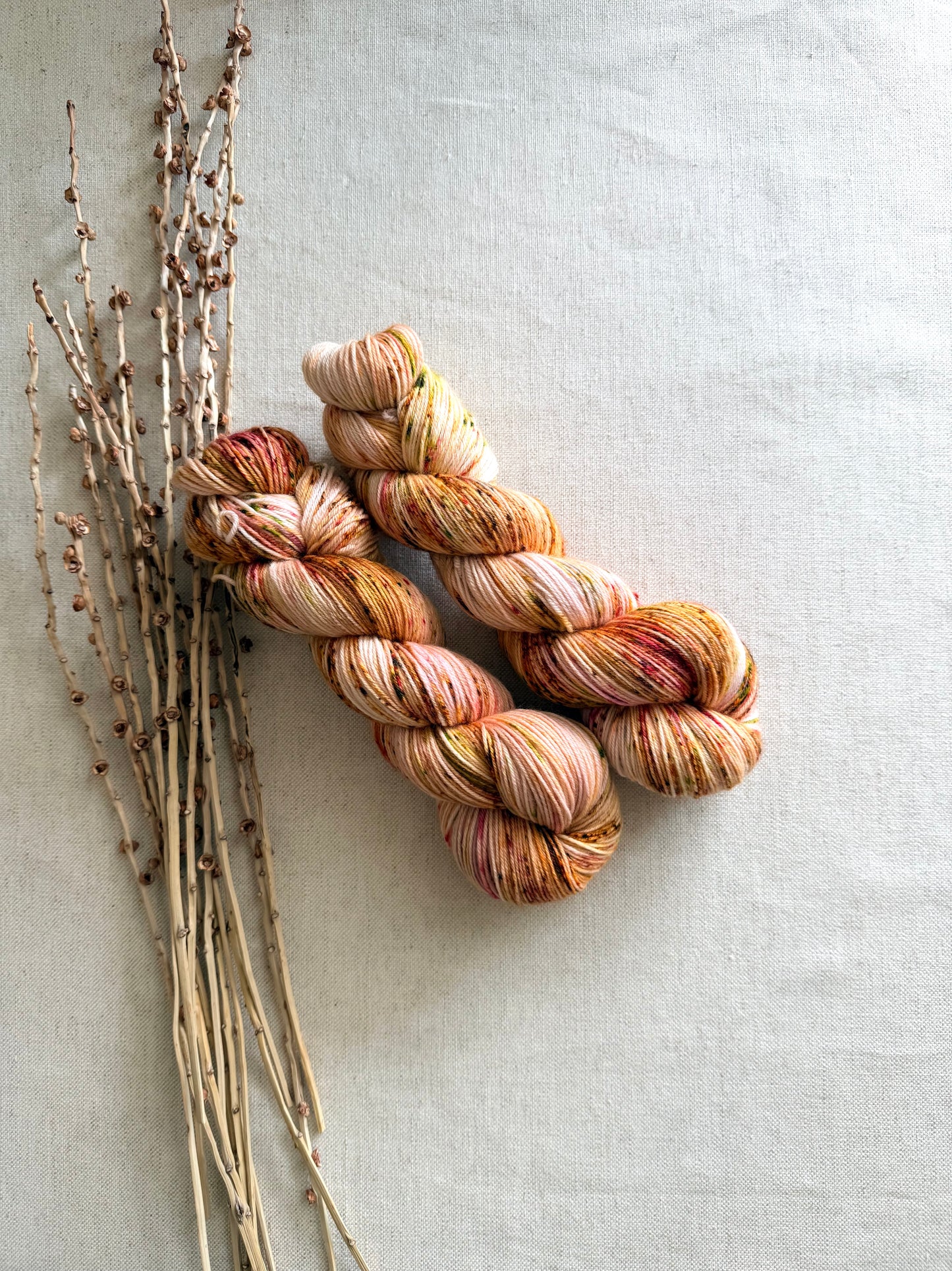 Apple Blossoms SW Merino Nylon 100g