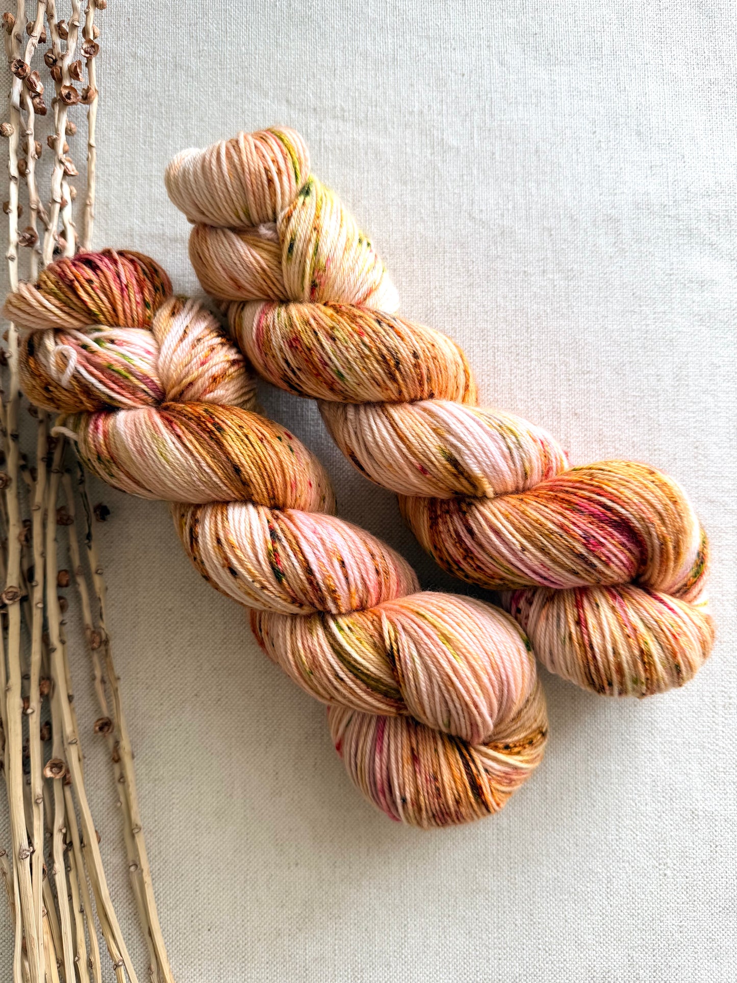 Apple Blossoms SW Merino Nylon 100g