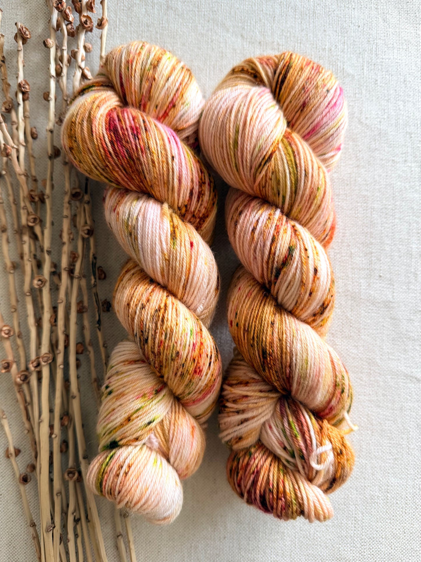 Apple Blossoms SW Merino Nylon 100g