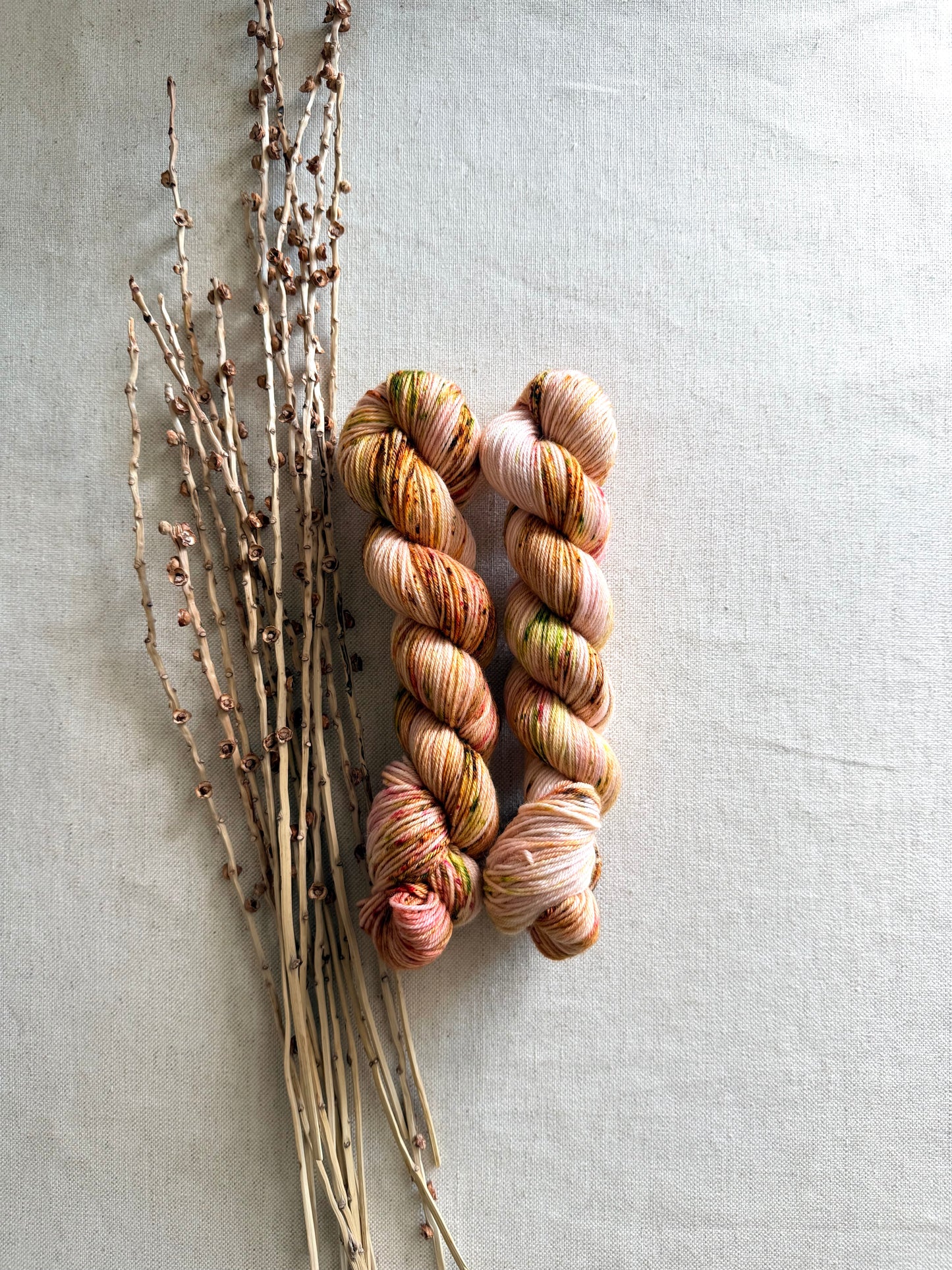 Apple Blossoms SW Merino Nylon 50g Skein
