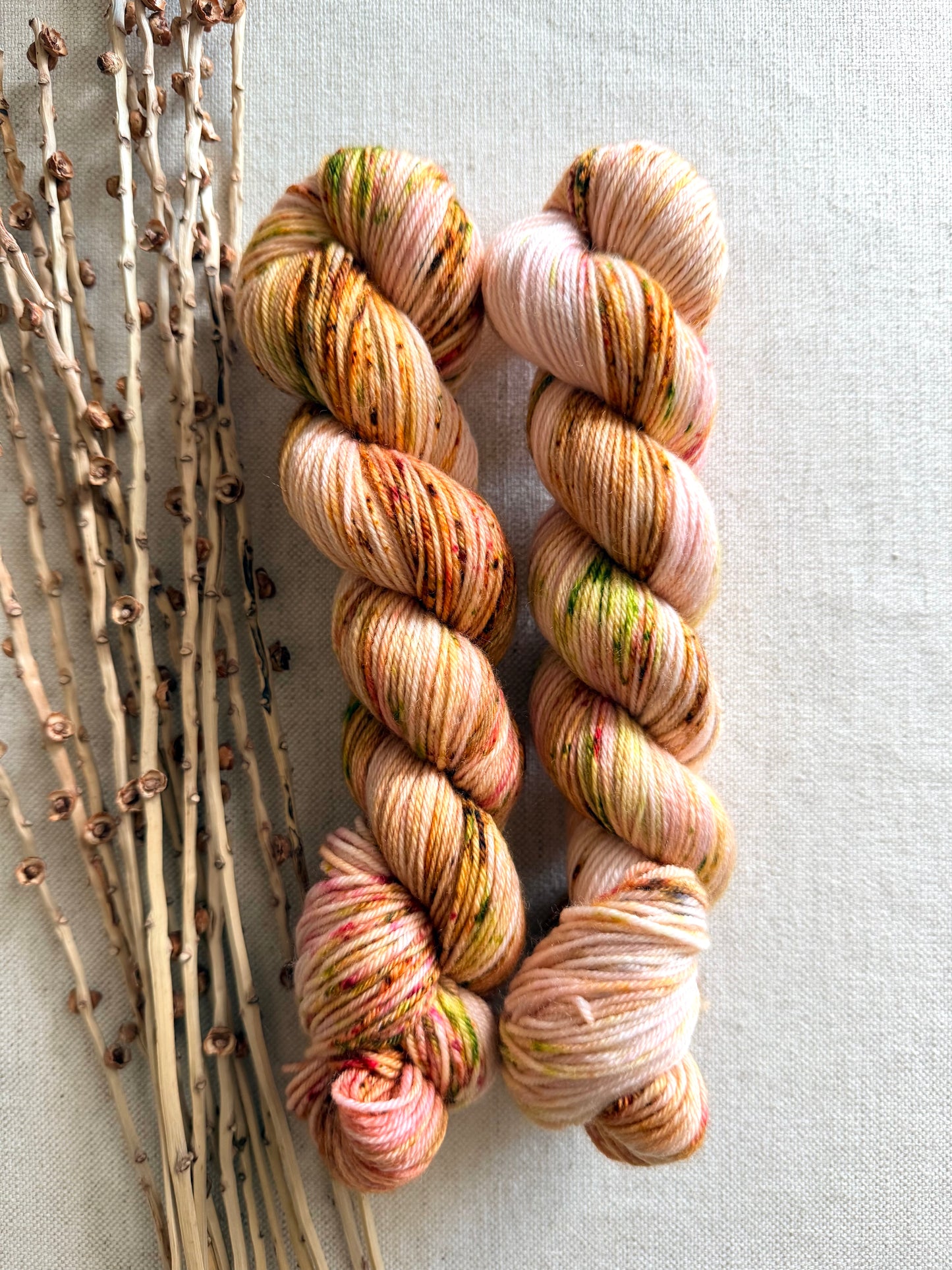 Apple Blossoms SW Merino Nylon 50g Skein