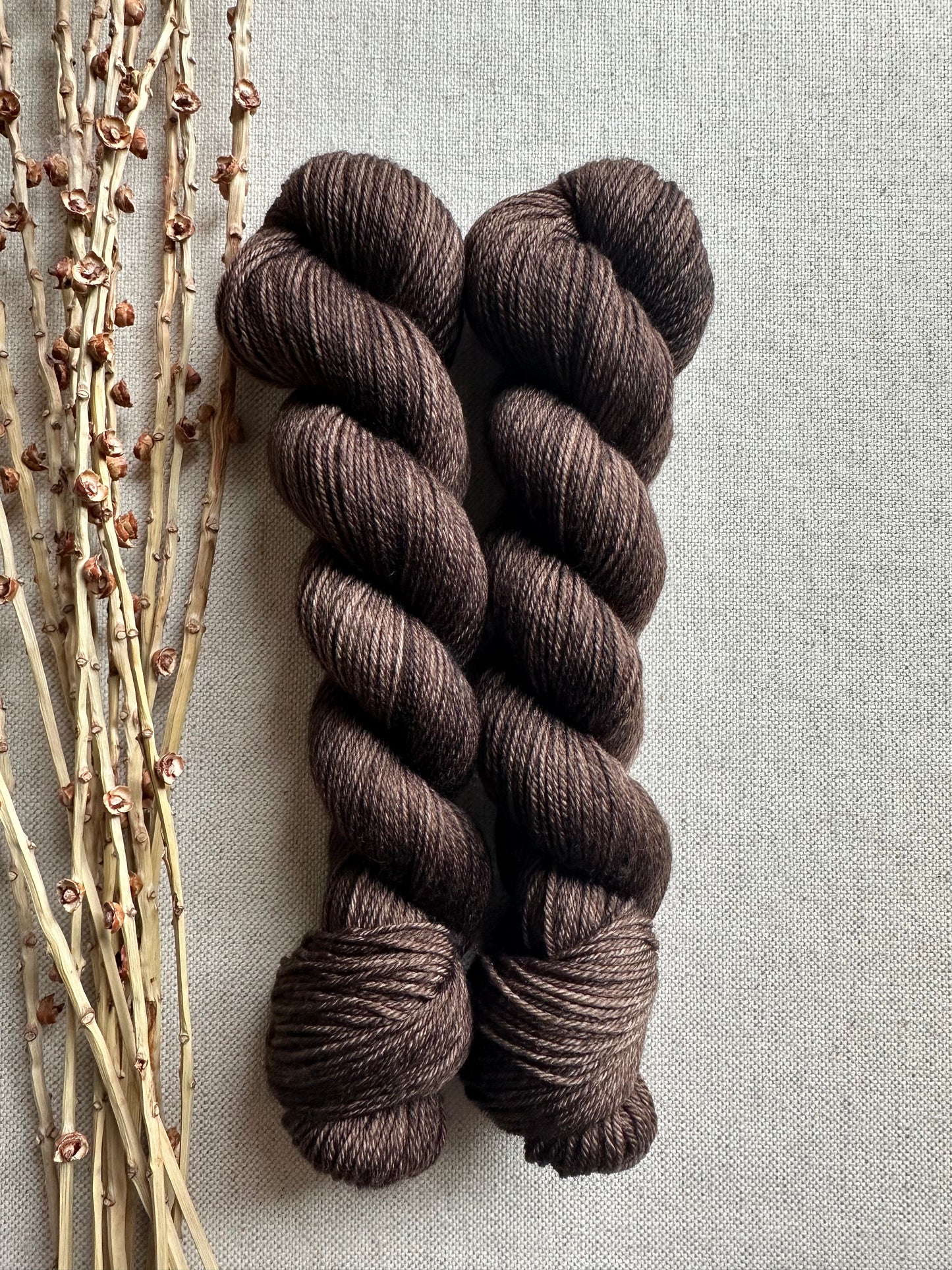 Pecan SW Merino Nylon 50g Skein