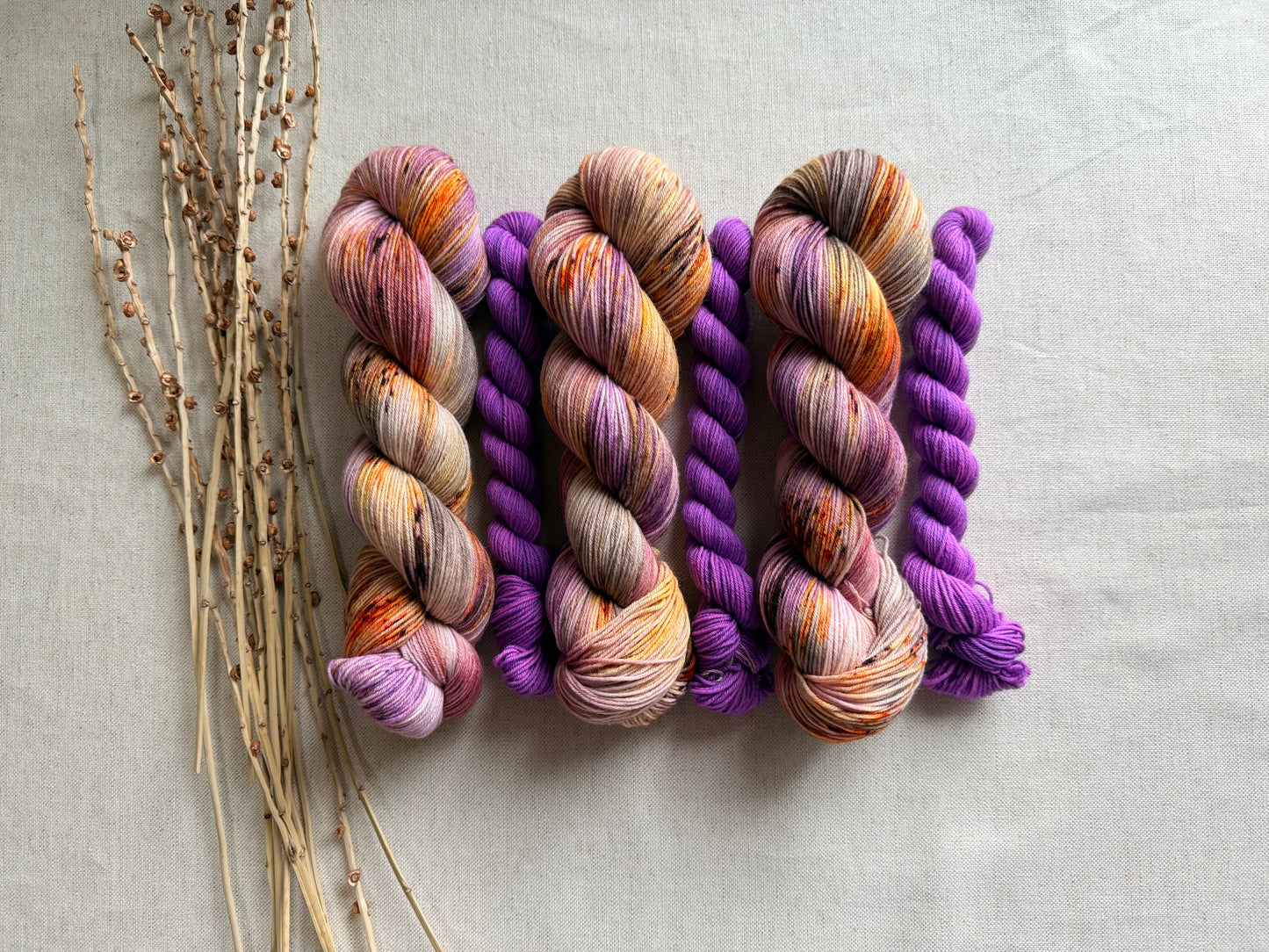 Hen House Sock Set
