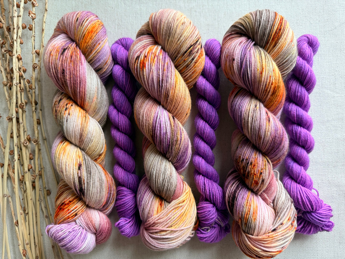 Hen House Sock Set