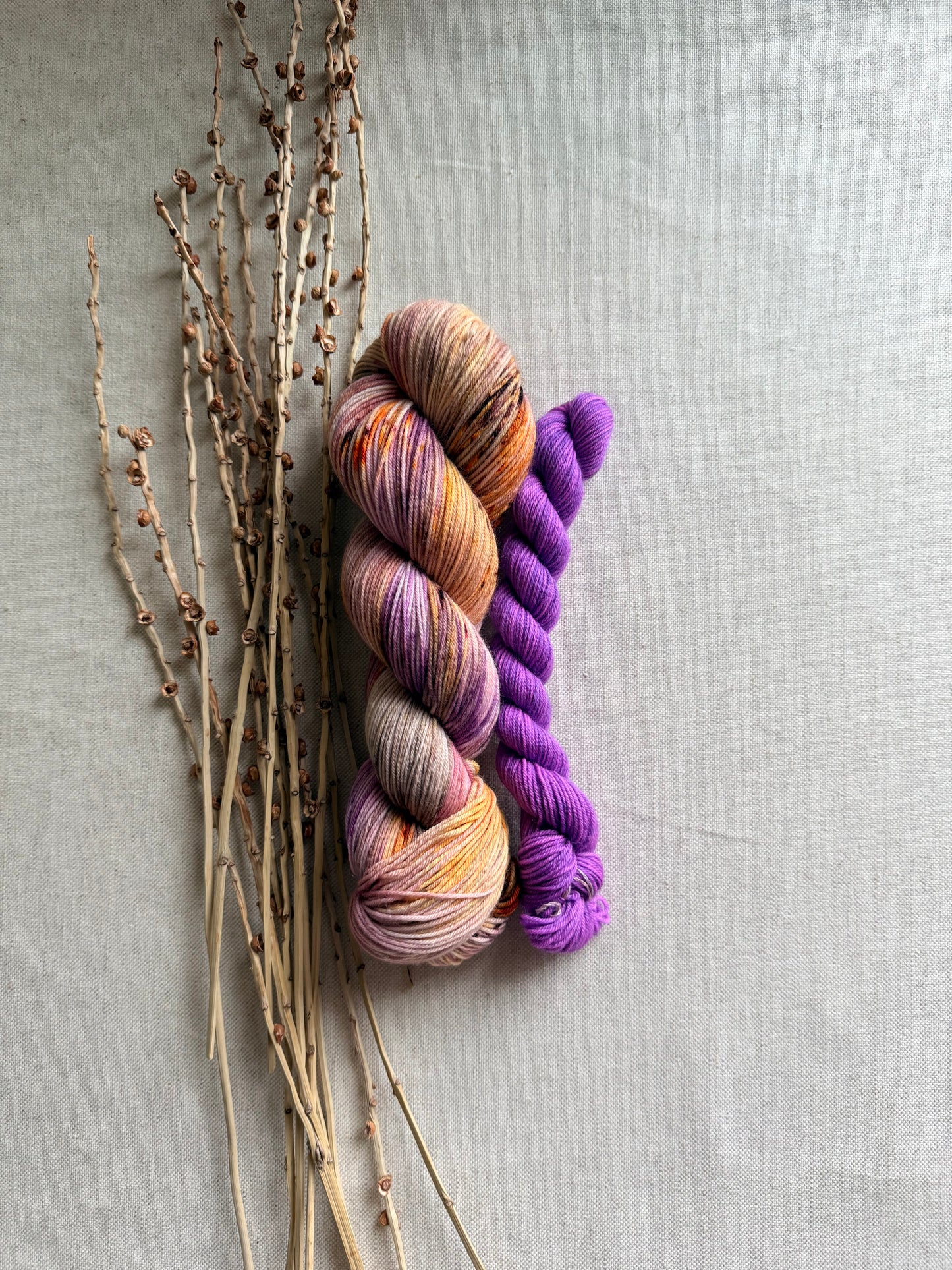 Hen House Sock Set
