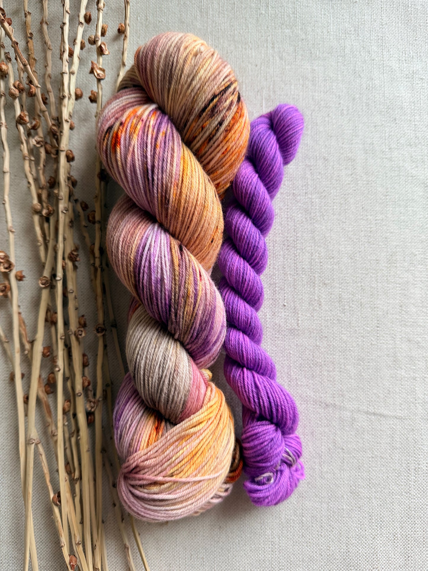 Hen House Sock Set