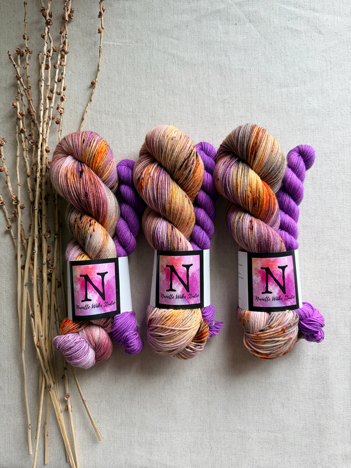 Hen House Sock Set