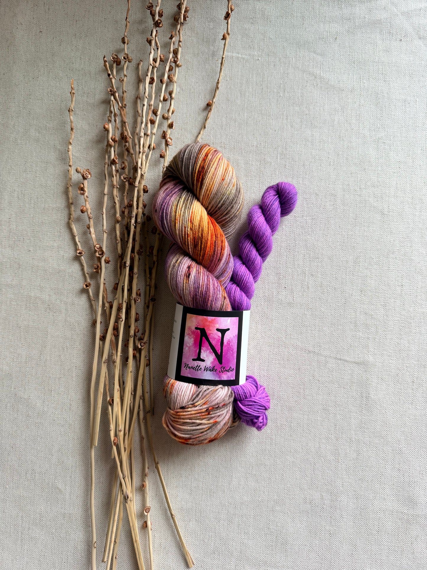 Hen House Sock Set