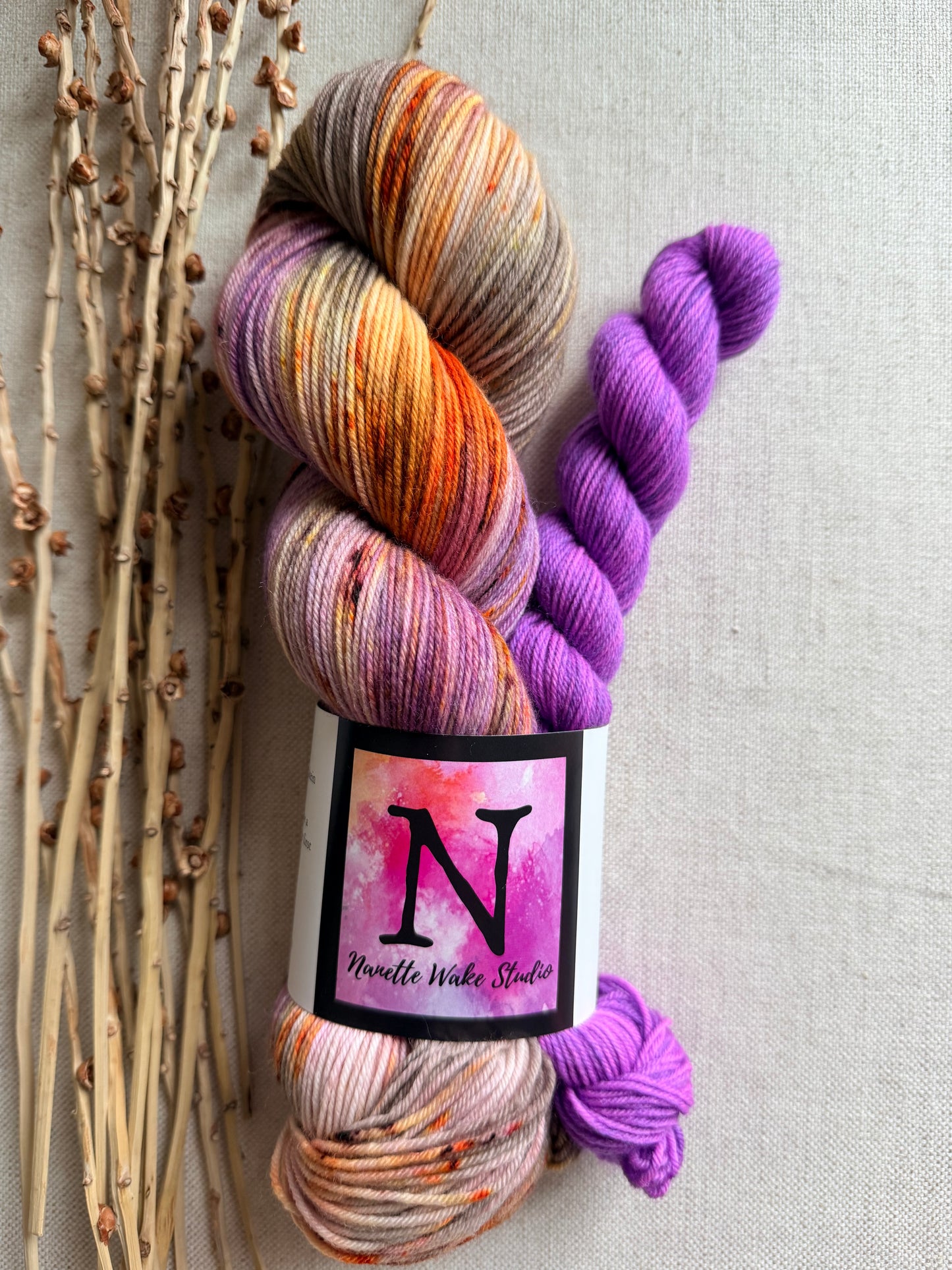 Hen House Sock Set