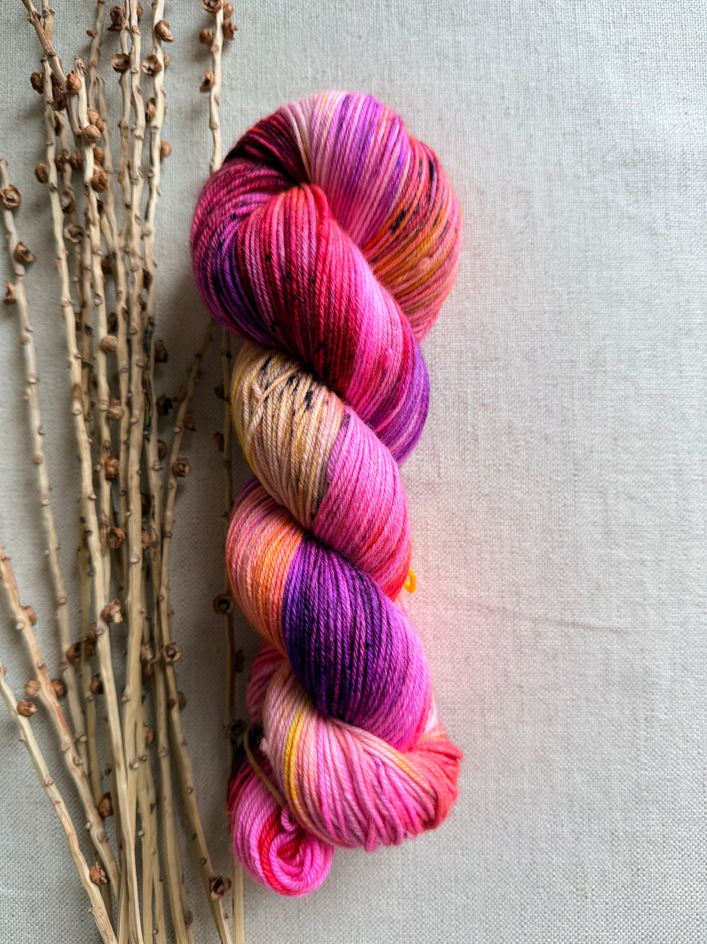 Pie Eating Contest SW Merino Nylon 100g