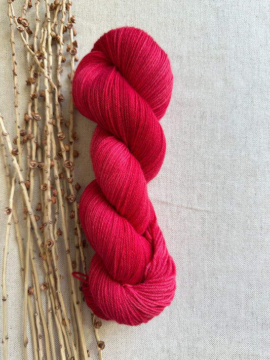Poinsettia Merino Untreated