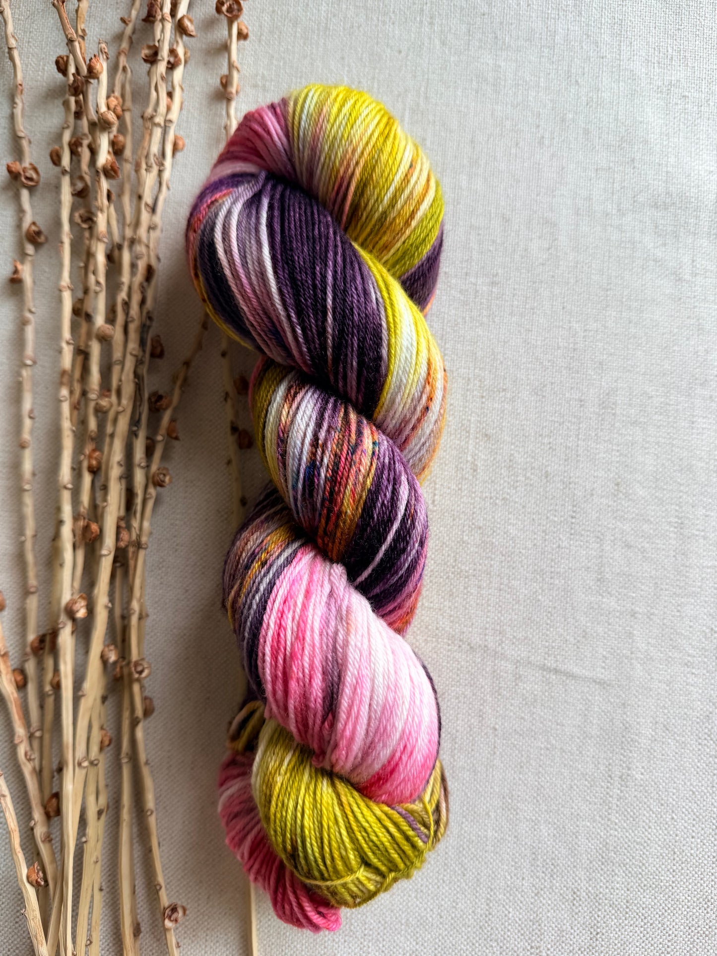 Date Night SW Merino Nylon 100g