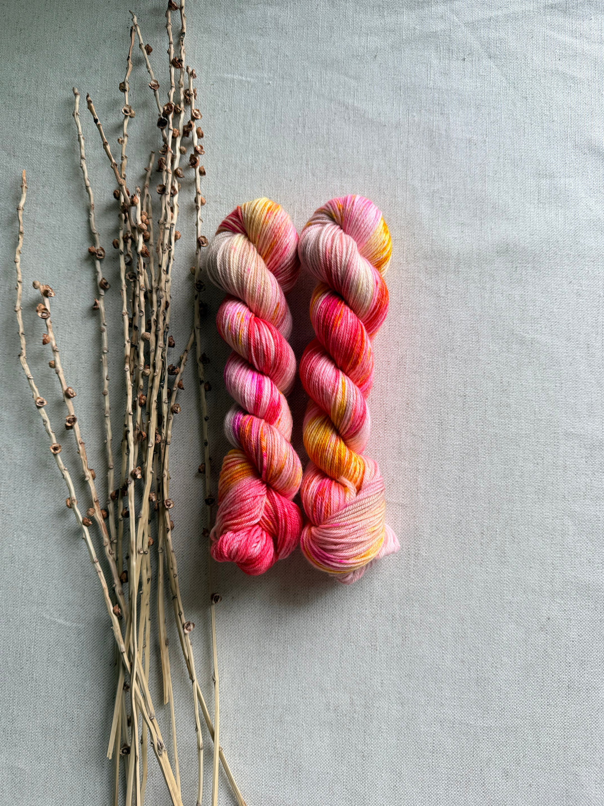 End Of Summer SW Merino Nylon 50g Skein