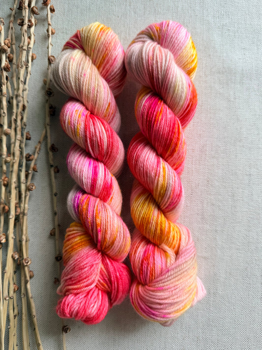 End Of Summer SW Merino Nylon 50g Skein