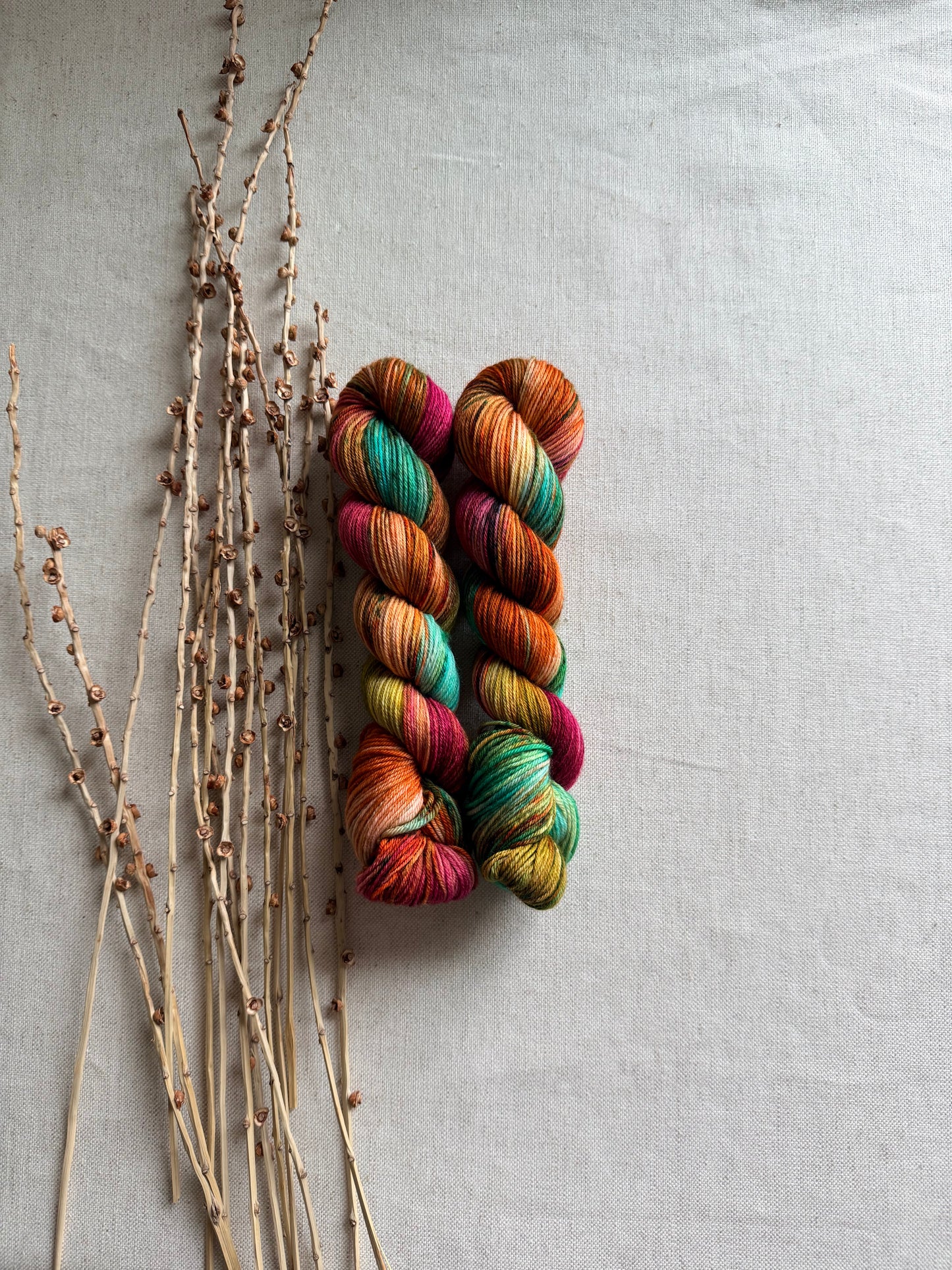 Take a Flying Leap at a Rolling Pumpkin SW Merino Nylon 50g Skein