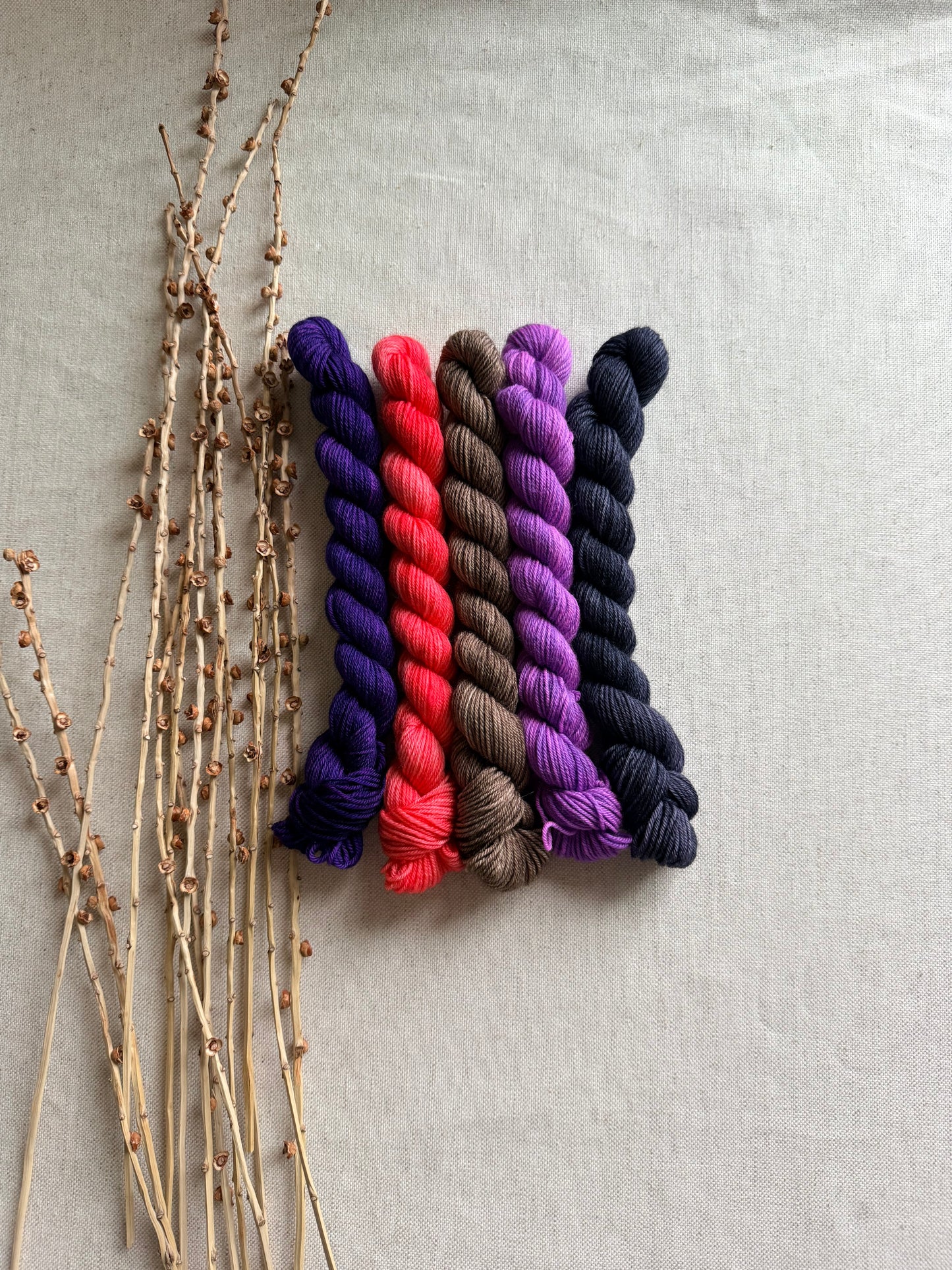 P & J - SW Merino Nylon Mini Skein Set
