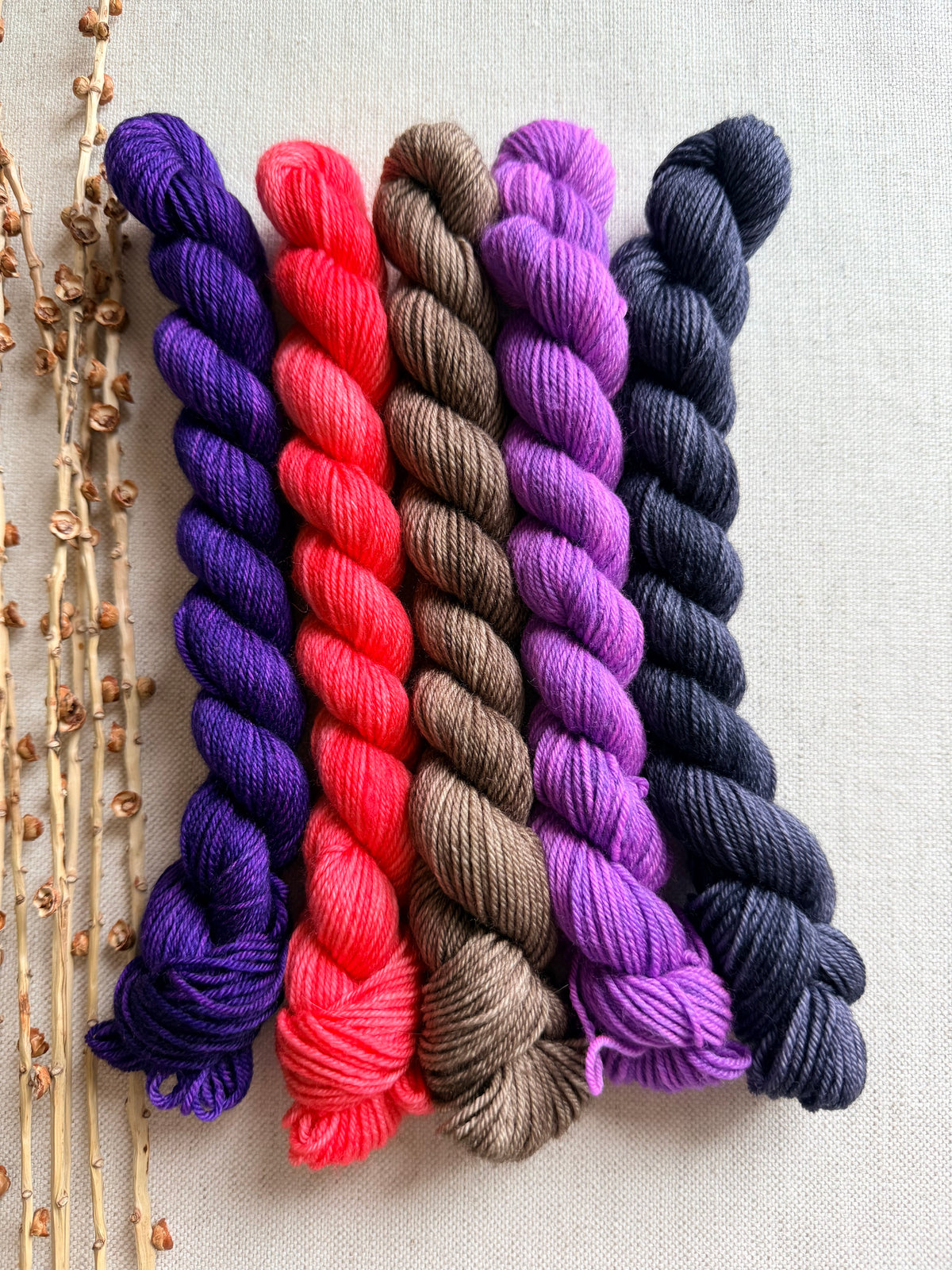 P & J - SW Merino Nylon Mini Skein Set