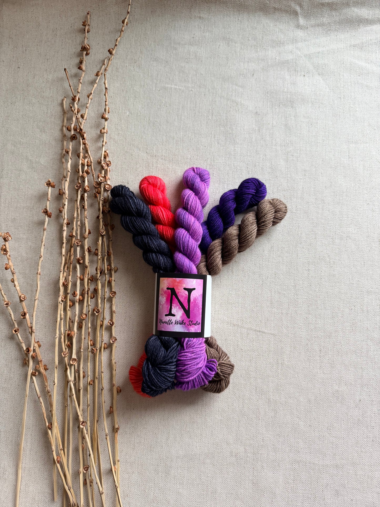 P & J - SW Merino Nylon Mini Skein Set