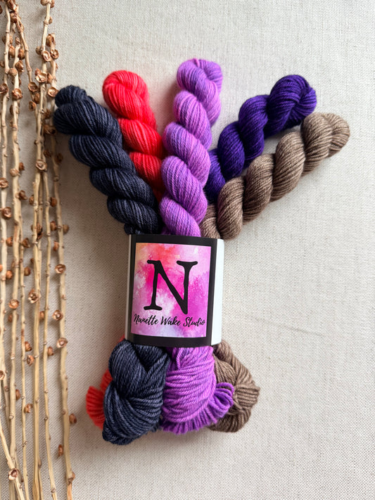 P & J - SW Merino Nylon Mini Skein Set