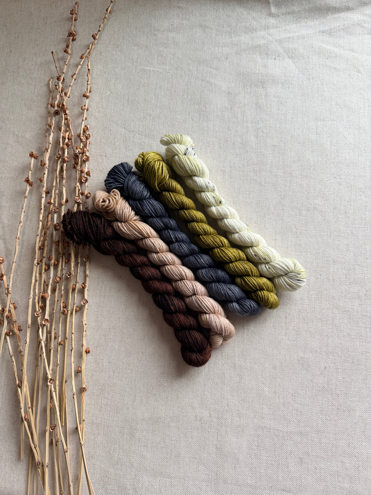 Neutrals - SW Merino Nylon Mini Skein Set