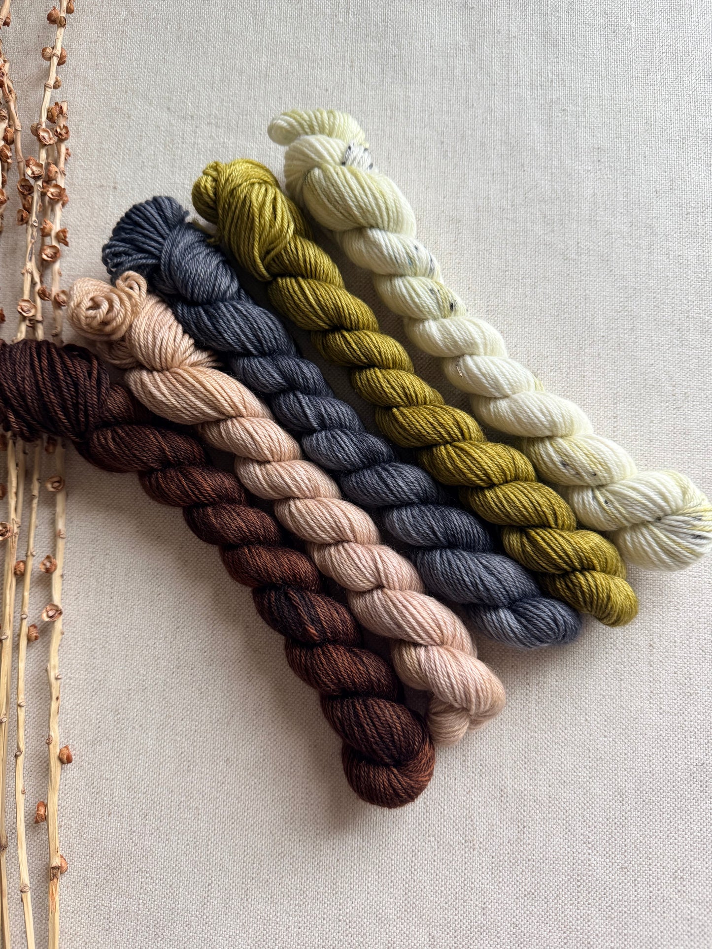 Neutrals - SW Merino Nylon Mini Skein Set