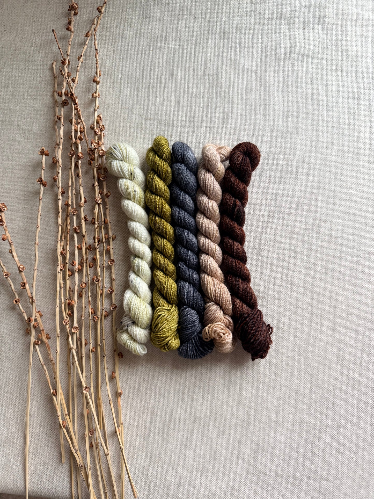 Neutrals - SW Merino Nylon Mini Skein Set